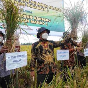 Ekonomi Sulsel Tumbuh, Gubernur : Alhamdulillah, Sektor Pertanian Berperan Besar