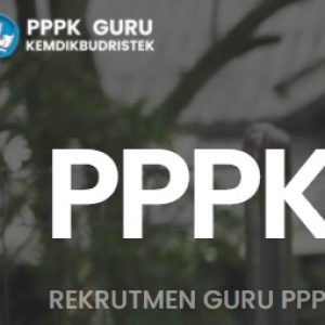 Pemprov Sulsel Tak Usulkan Rekrutmen Pengangkatan PPPK Guru