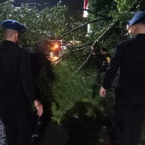 Respon Cepat, Malam-malam Personel Brimob Bone Evakuasi Pohon Tumbang