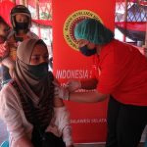 Menarik, BINDA Sulsel Vaksin Masyarakat Torut di Acara Rambu Solok