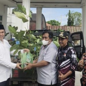 Dukung Ketersediaan Air Bersih, MYL Bantu 1100 Bibit Sukun untuk Pulau Terluar Pangkep