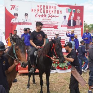 Ketua Pordasi Sulsel Dorong Maros Hasilkan Atlet Berkuda Berprestasi