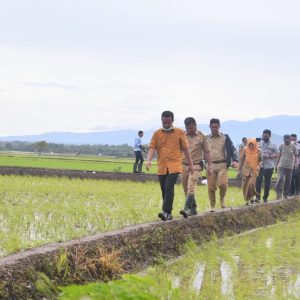 Hingga September Suplai Beras 120 Ribu Ton, Beras asal Sulsel Pemasok Terbesar di Indonesia