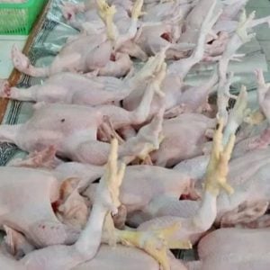 Pasca Idul Adha 2022, Harga Daging Ayam Terpantau Stabil