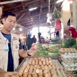 Harga Telur Ayam di Kota Parepare Mengikuti Harga Nasional