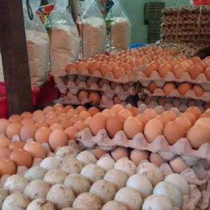 Harga Telur Ayam di Kota Parepare Rp62/ Rak