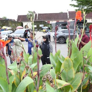 Tata Taman Kota, Fatmawati Rusdi Lakukan Peninjauan Langsung