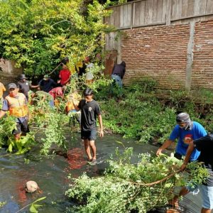 Satgas Drainase Mariso Bersihkan Kanal di Kelurahan Pannambungan