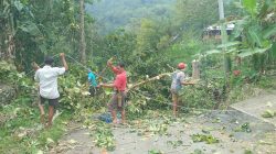 Puluhan Tahun Penerangan Listrik Tak Maksimal, Ini Upaya Lurah dan Warga