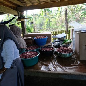 Dorong Keterlibatan Perempuan, PLN Bantu Kembangkan Usaha Kelompok Wanita Tani Desa Lampoko