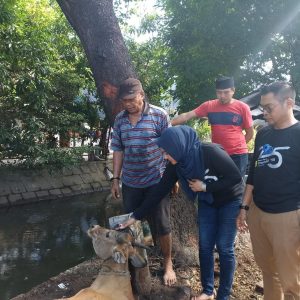 Rayakan Idul Kurban, IKA 98 Smandel Makassar Sembelih Dua Ekor Sapi