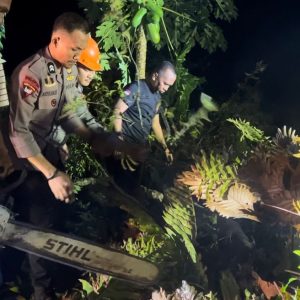 Brimob Batalyon C Pelopor Gerak Cepat Evakuasi Pohon Tumbang di Jalan Poros Bone-Sinjai