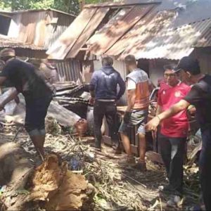 Rumah Warga Tertimpa Pohon di Muh Yamin, Anggota DPRD Makassar Muchlis Misbah Gerak Cepat