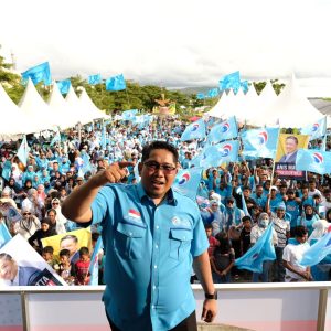 Partai Gelora Bidik 10 Kursi Kepala Daerah di Sulsel, Parepare Masuk Radar