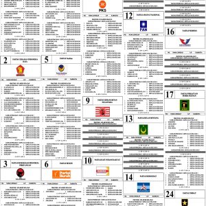 Daftar Calon Sementara Anggota DPRD Kabupaten Kepulauan Selayar Pemilu 2024