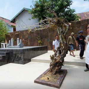 Wali Kota Parepare Kunjungi Makam Andi Mallarangeng