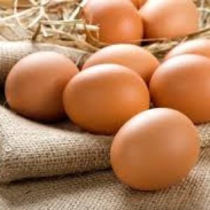 Khasiat dan Bahaya Konsumsi Terlalu Banyak Telur, Hindari yang Berkolesterol Tinggi