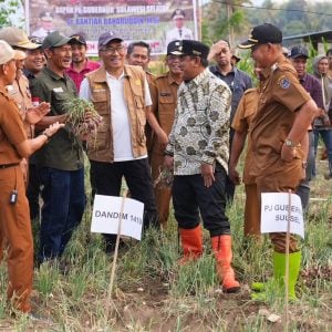 Pemprov Sulsel Bakal Bantu Sumur Bor untuk Petani Bawang di Enrekang