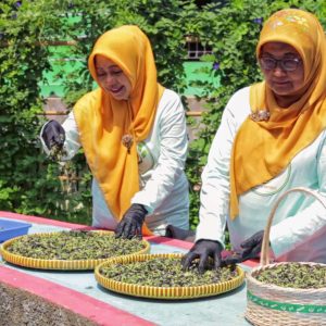 Berkat BRInita, Teh Herbal Jadi Produk Unggulan Poktan Bensor Semarang