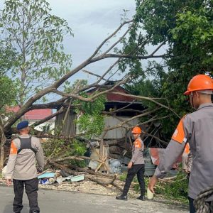 Respon Cepat Tim SAR SAR Brimob Bone, Evakuasi Pohon Tumbang Timpa Rumah Warga