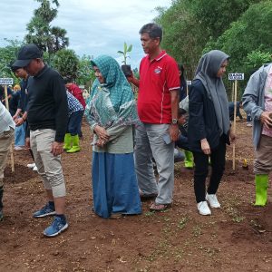 Kebun Fakultas Pertanian Bosowa Jadi Area Perdana Penanaman Pisang Cavendish Wakili PTS LLDIKTI Sultanbatara
