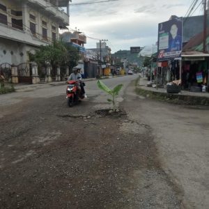 Warga Mamuju Tanam Pisang di Tengah Jalan