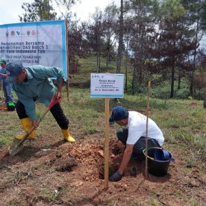 Lewat 424 Ribu Bibit Pohon, PT Vale Rehabilitasi DAS di Tana Toraja