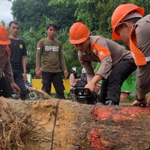 Aksi Sigap Tim SAR Brimob Bone Evakuasi Pohon Tumbang di Apala