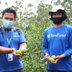 OJK Cabut Izin PT Tani Fund Madani Indonesia