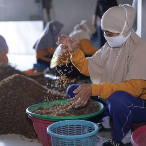 Terus Berkembang, Unit Bisnis Bosowa Agro Terima Permintaan Hingga Pasar Eropa