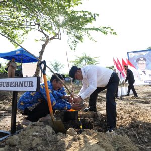 Hari Pertama Berkantor, Pj Gubernur Bahtiar Bersama Forkopimda Sulbar Tanam Sukun di Kompleks Perkantoran