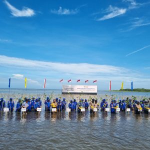 Cegah Abrasi, Kakorpolairud Baharkam Polri Tanam Mangrove di Takalar