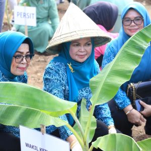 Tanam Ribuan Bibit Tanaman, TP PKK Gowa Dorong Pemanfaatan Lahan Pekarangan Rumah 