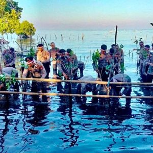 Jelang HUT Bhayangkara Ke-78, Polres Takalar Gelar Penanaman Pohon Mangrove