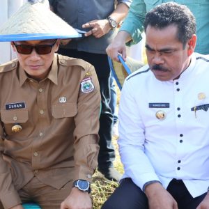 Pj Bupati Ahmadi Akil Dampingi Pj Gubernur SulSel di Kegiatan Pesta Panen Padi Kabupaten Pinrang