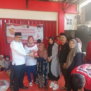 Keluarga Besar PDIP Sulsel, Kurban 139 Ekor Sapi, Alimuddin: Berkurban Artinya Membantu Masyarakat