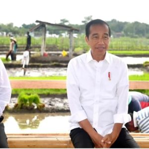 Jokowi Presiden RI Kedua Setelah Soeharto Injak Kabupaten Bone