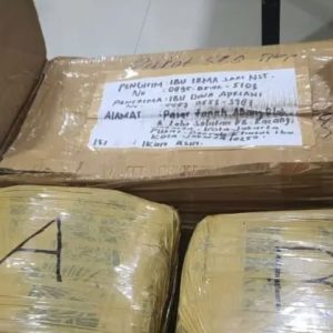 Polisi Gagalkan Peredaran Ganja 12 Kg dalam Kemasan Ikan Asin