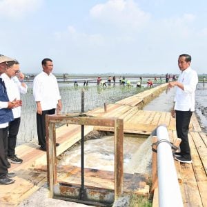 Mentan Amran Dampingi Presiden Tinjau Pemberian Bantuan Pompanisasi di Lampung