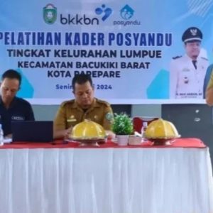 Kepala Dinas PPKB Pemkot Parepare Tekankan Pentingnya Penanganan Stunting kepada Kader Posyandu