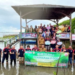 Sambut HUT Ke-17, Alfamidi Tanam 3000 Pohon Mangrove di Lantebung