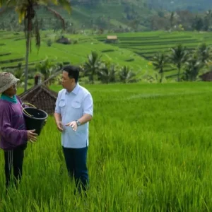 Hari Tani Nasional, Pupuk Kaltim Turun Langsung Beri Pendampingan Intensif kepada Petani