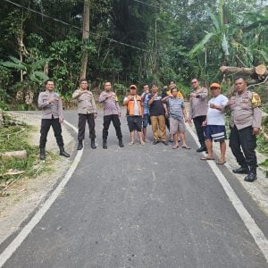 Polres Tator Bantu Warga Bersihkan Pohon Tumbang