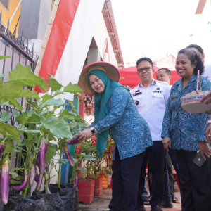 Camat Rappocini dan Ketua TP PKK Panen di Longwis Asiagang Cel’a-Ce’la