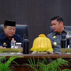 Bupati Adnan Harap DPRD Segera Tetapkan RPJPD 2025-2045 Gowa 