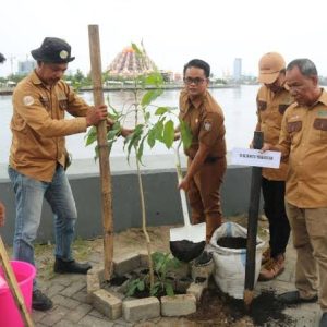 DLH Makassar Gencar Tanam Pohon di Makassar