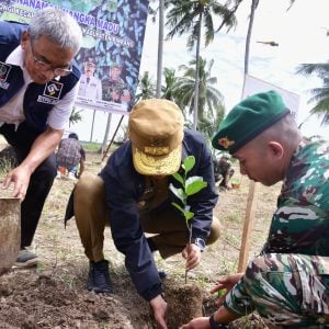 Program Sulsel Menanam Telah Tanam 12,5 Juta Lebih Pohon di Hutan Rakyat, Daerah Aliran Sungai dan Kebun Bibit Rakyat