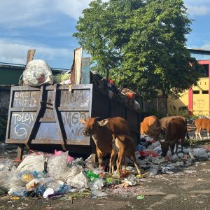 DLH Pangkep Sulap Belakang Stadion Andi Mappe Jadi Tempat Pembuangan Sampah Sementara