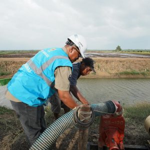 Dukung Tranformasi Pertanian Modern, Electrifying Agriculture PLN Raih 53.539 Pelanggan Baru di Tahun 2024