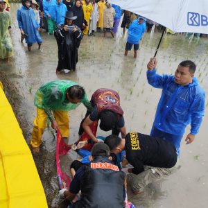 Ditemukan Puluhan Luka Tusuk Mayat Perempuam Dalam Sawah di Pallangga